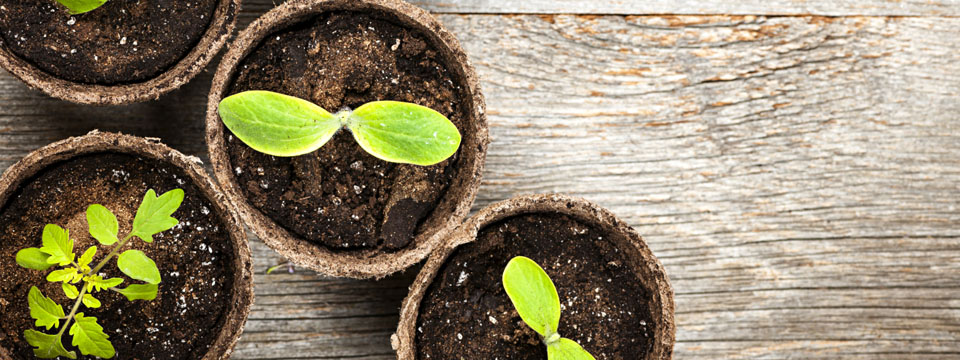 5 Things That Won’t Make Your Church Grow (Despite What You May Think)