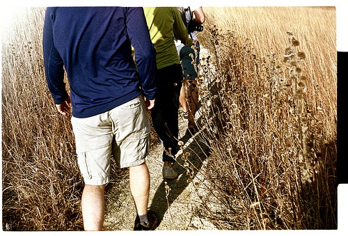 What are your volunteers following?